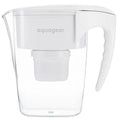 Water Filter Pitcher - Lead, Chlorine, POA/POS, Microplastics 10-Cup