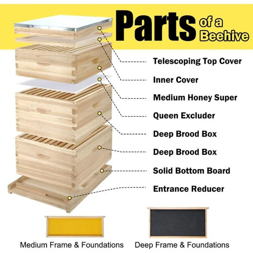 10-Frame Complete Bee Hives and Supplies Starter Kit, Beehives for Beginners with Beehive Frames and Waxed Foundations