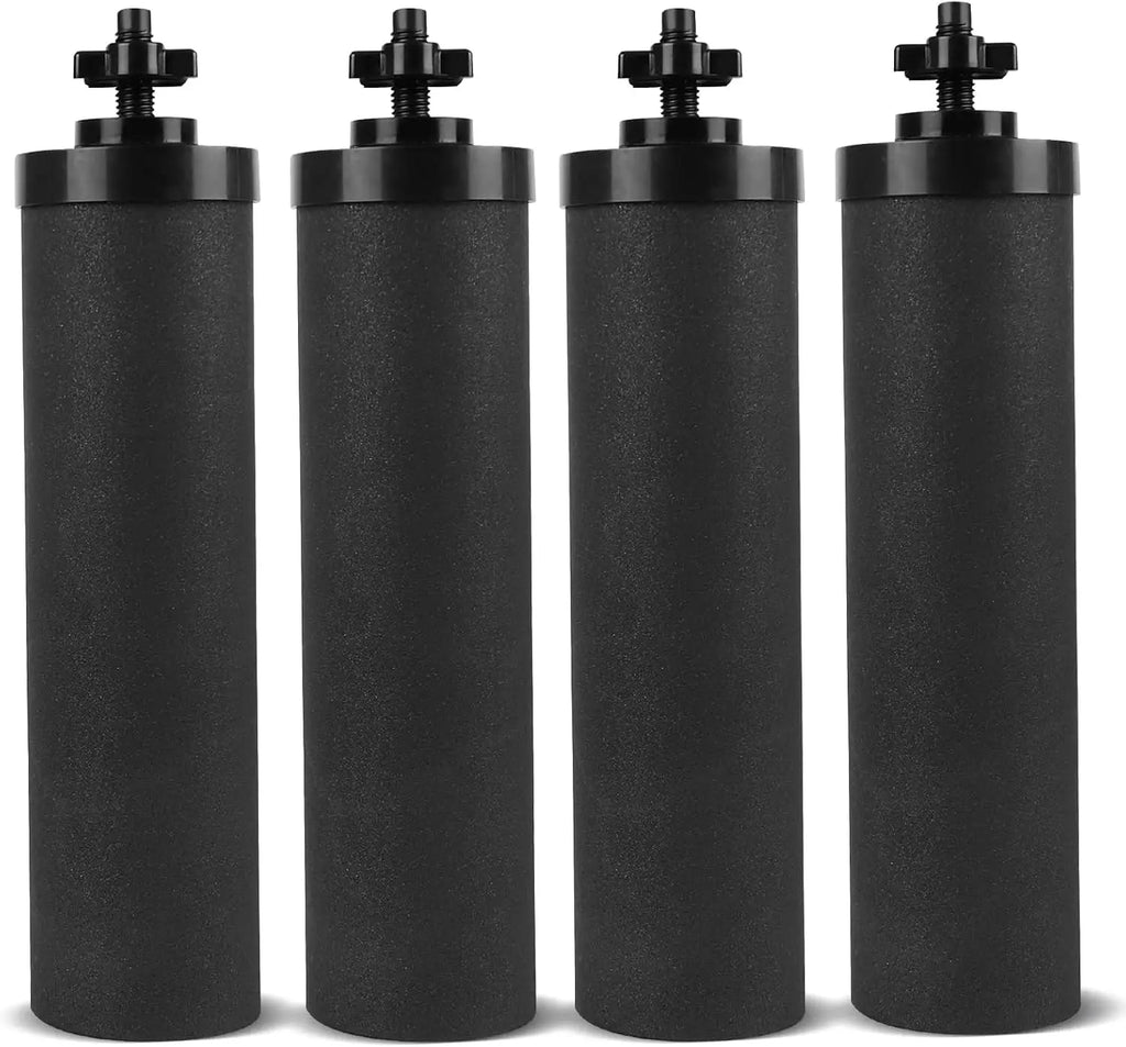 Water Filter Replacement, Pack of 4 Silver Infused
