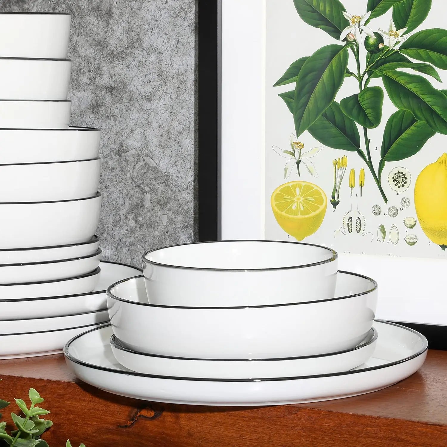 16-Piece Porcelain Dinnerware Set for 4, White Plates with Black Rim, Microwave & Dishwasher Safe