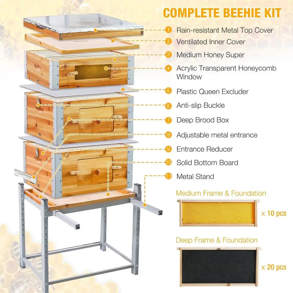 Bee Hive Boxes,3 Layer Metal Frame Bee House with 10 Medium and 20 Deep Frames & Foundations,Honey Bee Hive Starter Kit with Met