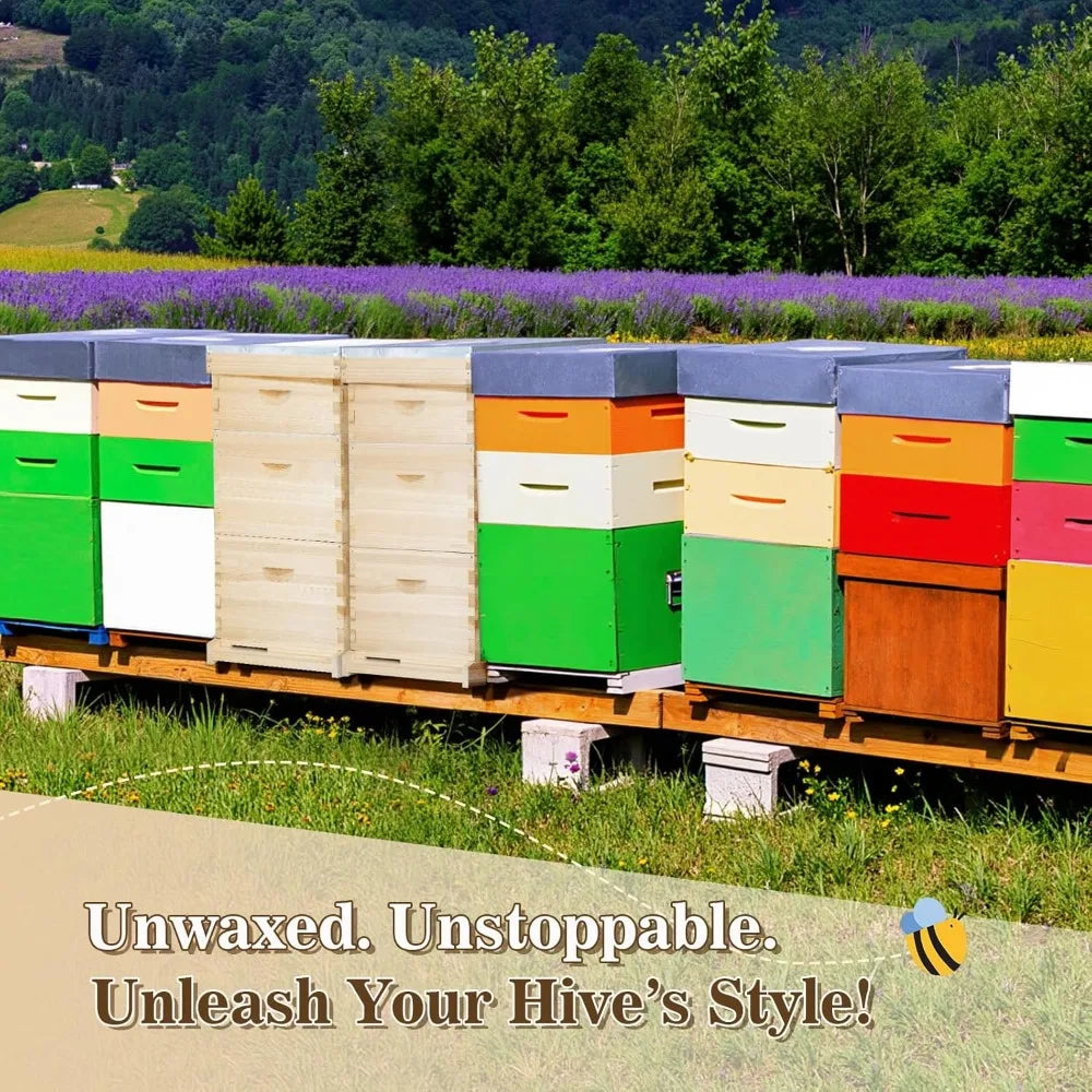 10-Frame Complete Bee Hives and Supplies Starter Kit, Beehives for Beginners with Beehive Frames and Waxed Foundations